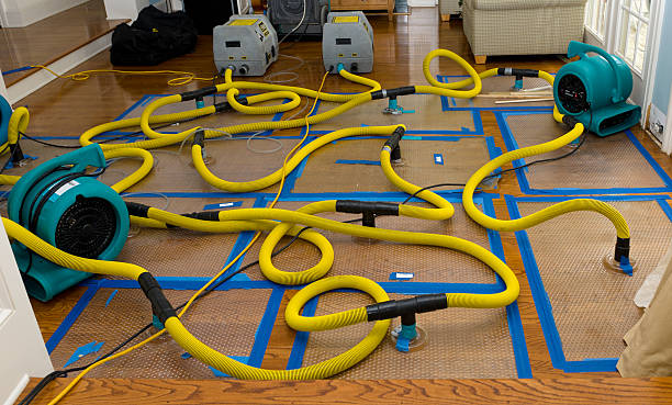 Professional Crawl Space Water Removal technician working in Copeland, FL
